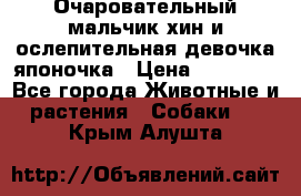 Очаровательный мальчик хин и ослепительная девочка японочка › Цена ­ 16 000 - Все города Животные и растения » Собаки   . Крым,Алушта